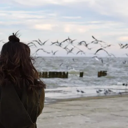 Neuklosterhof App. 14 Apartamento *